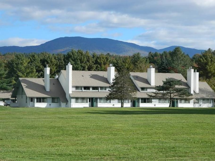Summer in Stowe .