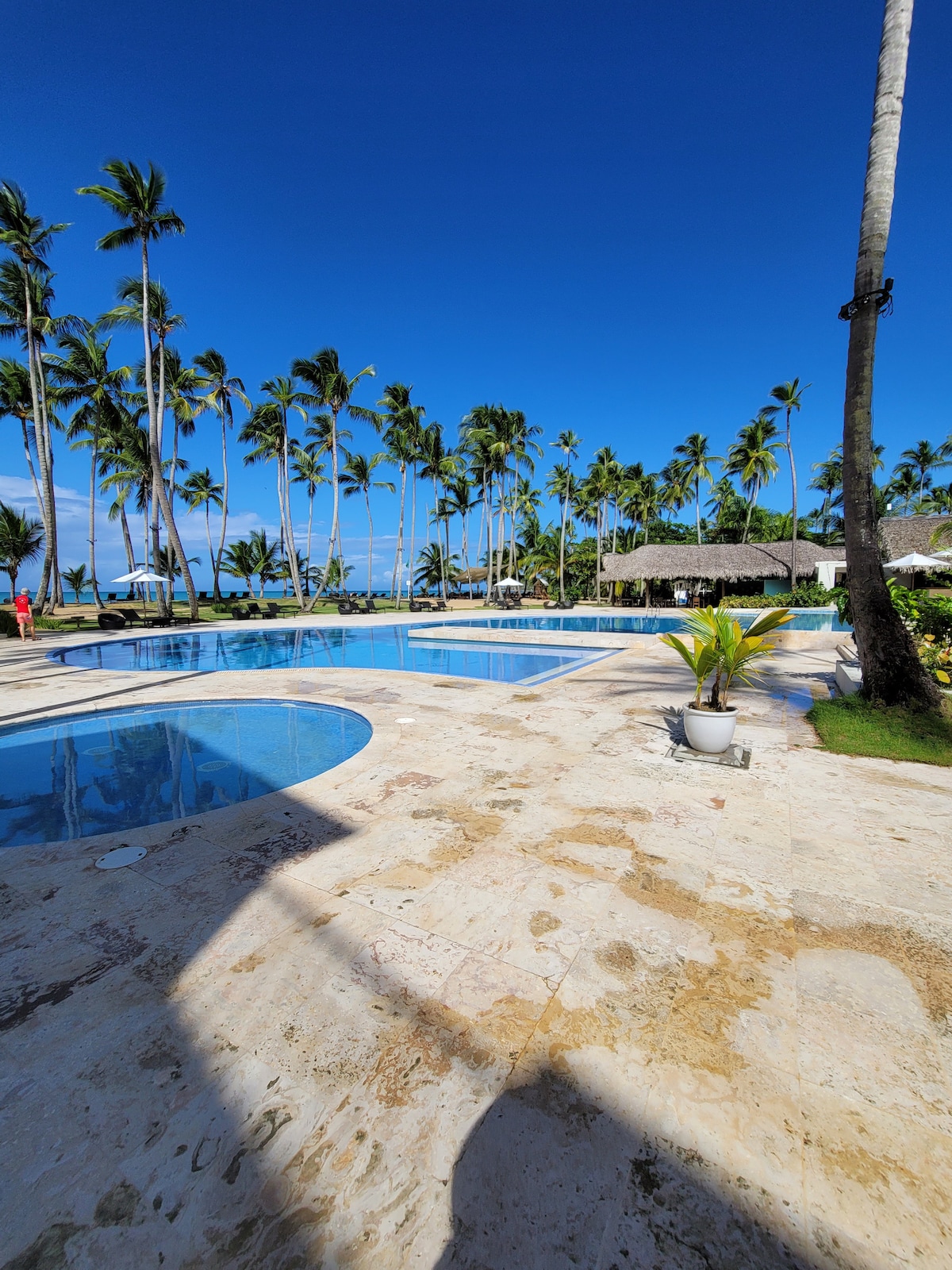 A spacious outdoor area features two swimming pools bordered by palm trees under a clear blue sky. Palapas provide shaded seating nearby, while small plants are positioned on the stone patio. The beach is visible in the background, enhancing the serene atmosphere.