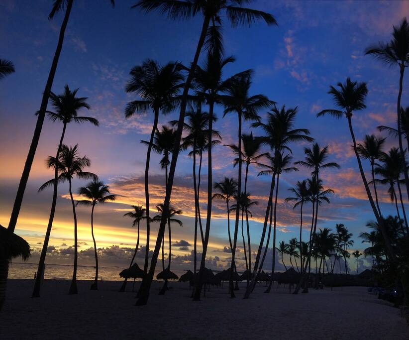 Sunsets.
