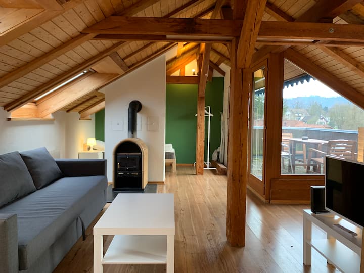 City Center / Wollishofen Duplex studio, view Apartments for Rent