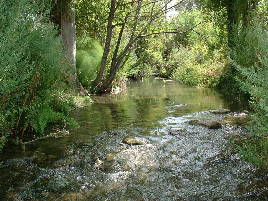 CINCOLUNAS: our river