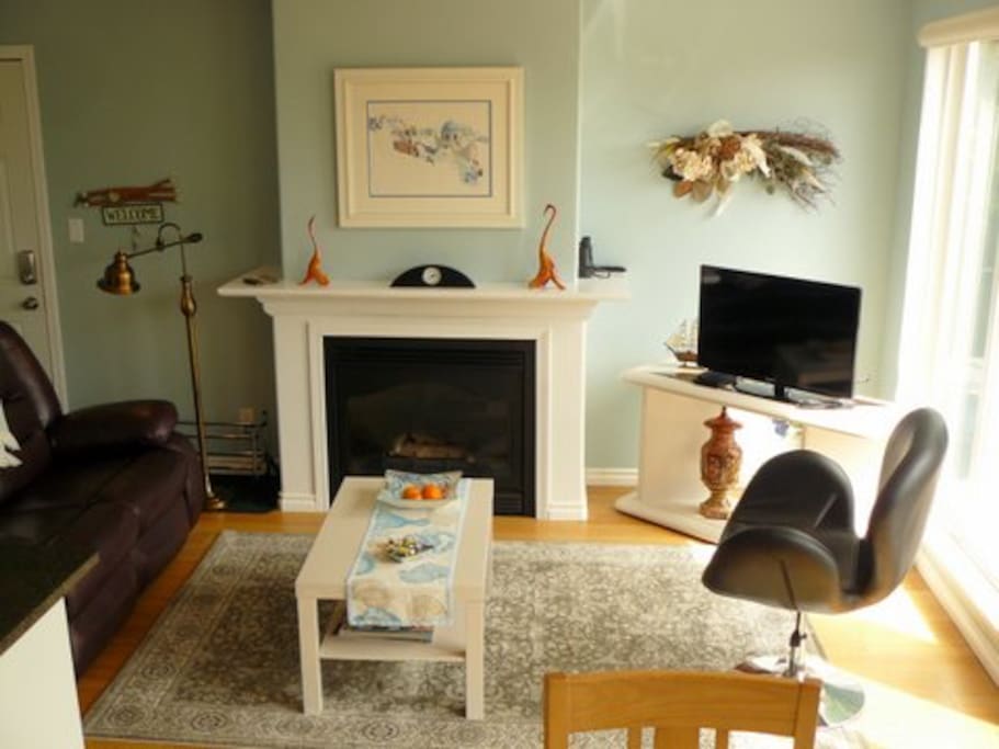 Living room ..view 2 with operative fireplace