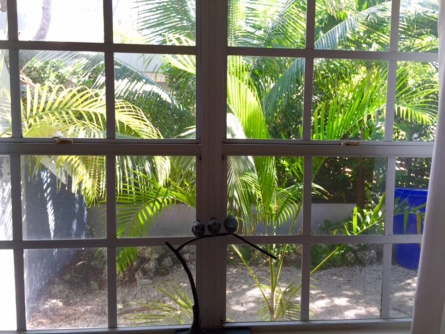 View from guest bedroom.
