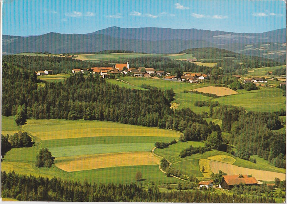 Konzell