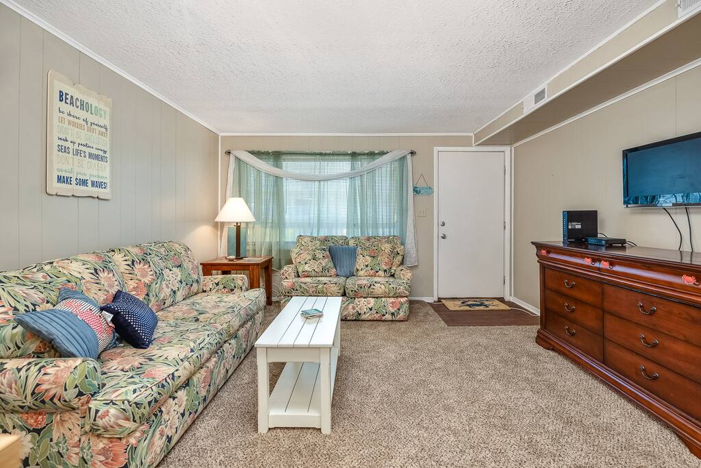 Living room with queen sofa