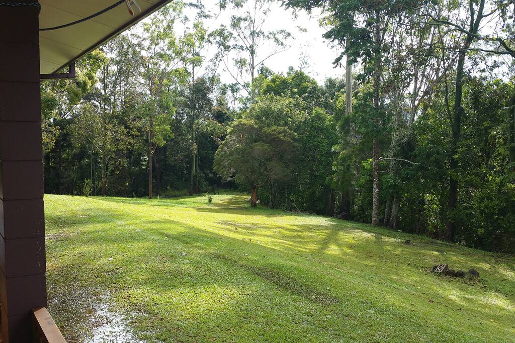Plenty of open space to run around in.