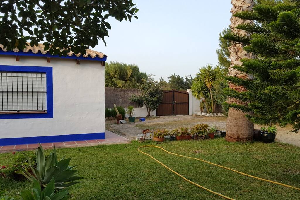 Entrada individual