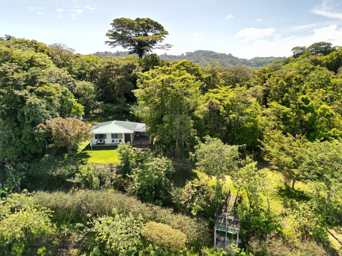 The image captures a spacious countryside home nestled among lush greenery in Monteverde. Dense trees surround the property, with the house featuring a sloped roof and large windows. The natural landscape includes varied foliage, enhancing the serene rural setting.