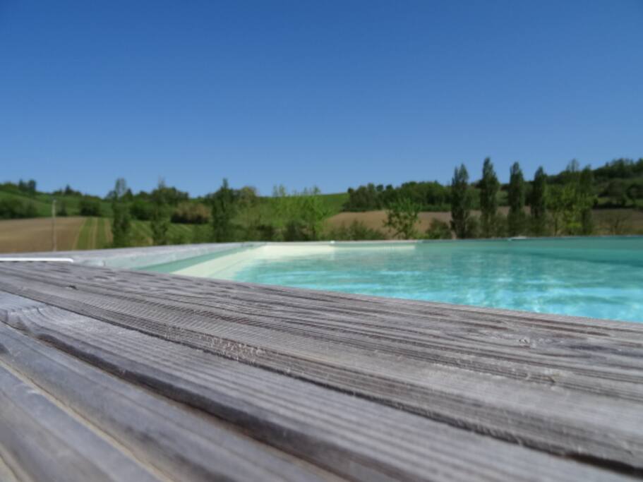 Piscine sur la nature