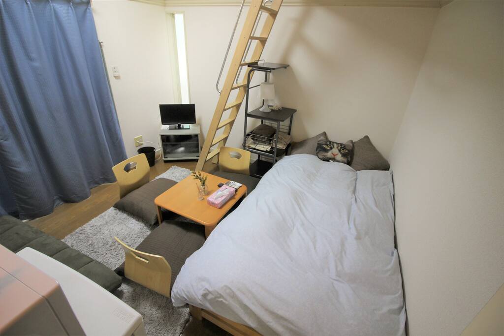 Clean and comfy room!