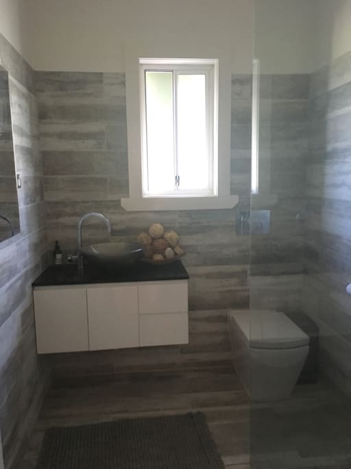 Modern bathroom with toilet vanity and shower