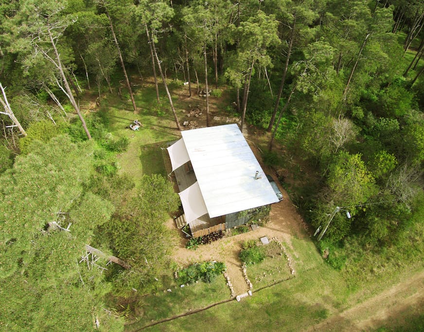 Surrounded by trees