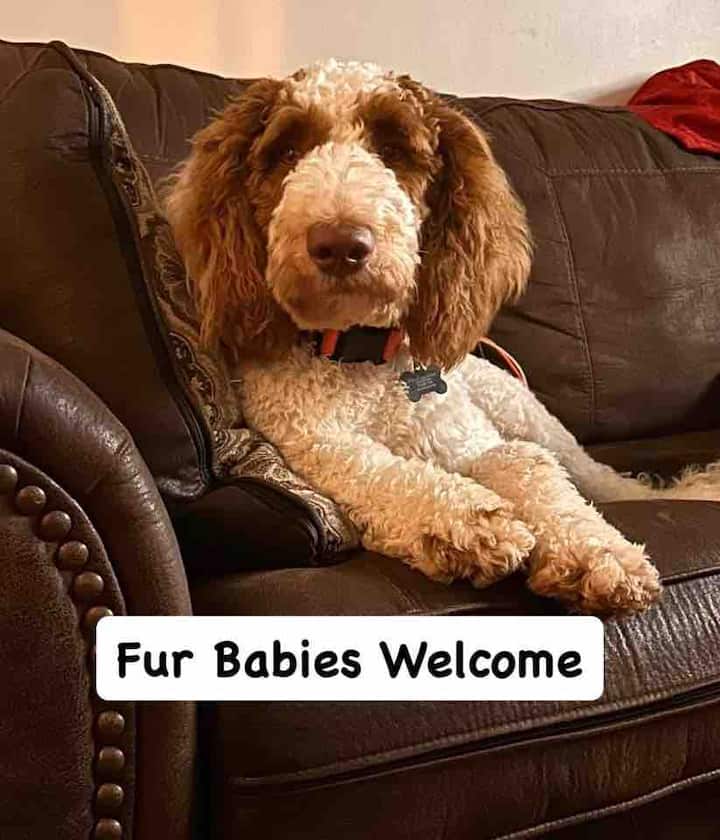 Paradise Stay Nl- Pet Friendly! - Paradise