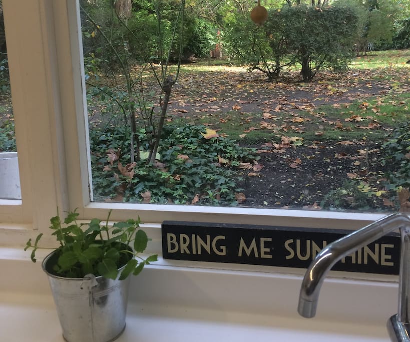 The kitchen looks directly onto the shared garden...