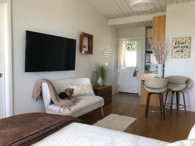 Studio For Rent In Santa Barbara