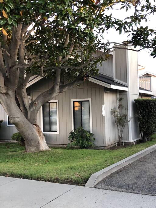 Single family home