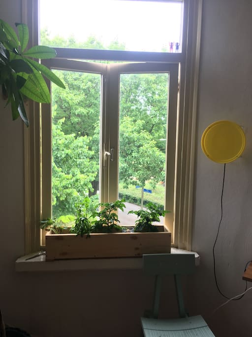 view