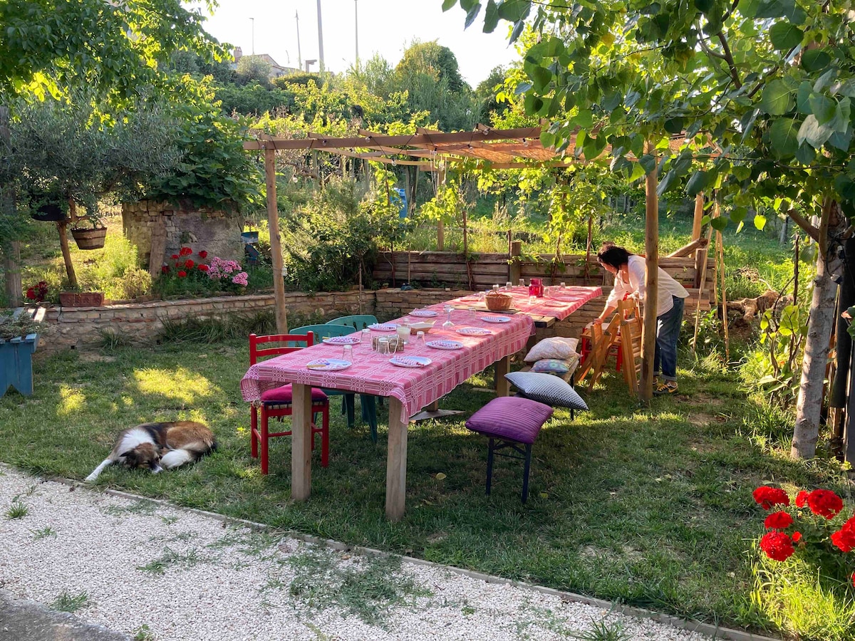 An outdoor dining area is set with a long table covered in a red and white checkered cloth. Colorful chairs surround the table, which is arranged with plates and glasses. A dog lies peacefully on the grass nearby, surrounded by blooming flowers and greenery.