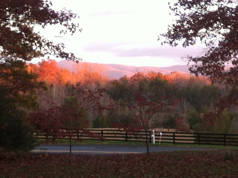 View from the driveway.