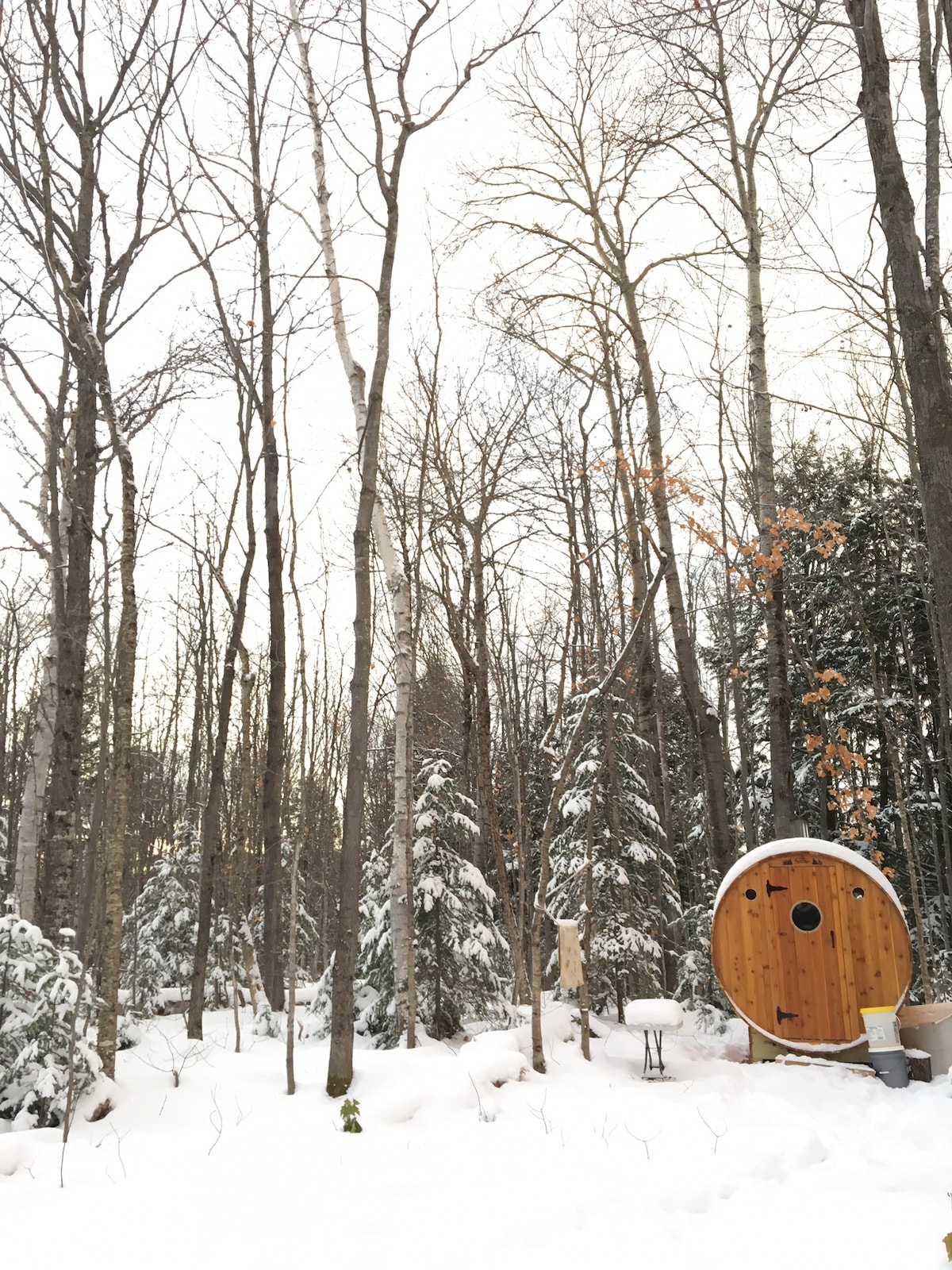 A wooden sauna structure is nestled among the tall, snow-covered trees, creating a serene winter landscape. The area is blanketed in fresh snow, with a few remaining autumn leaves visible on the branches, enhancing the tranquil atmosphere of the surrounding nature.
