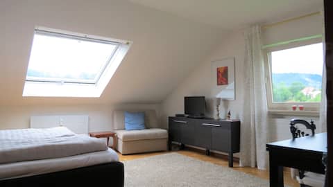 Successful Airbnb property: House Bath Peterstalblick in Bad Peterstal Griesbach