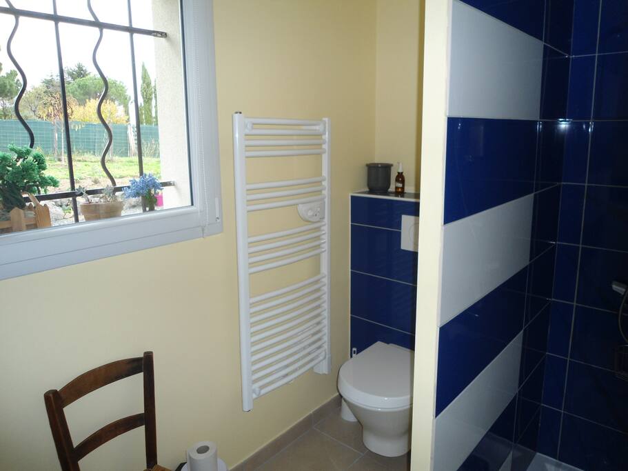 WC et Douche (Sdb vue 1)
