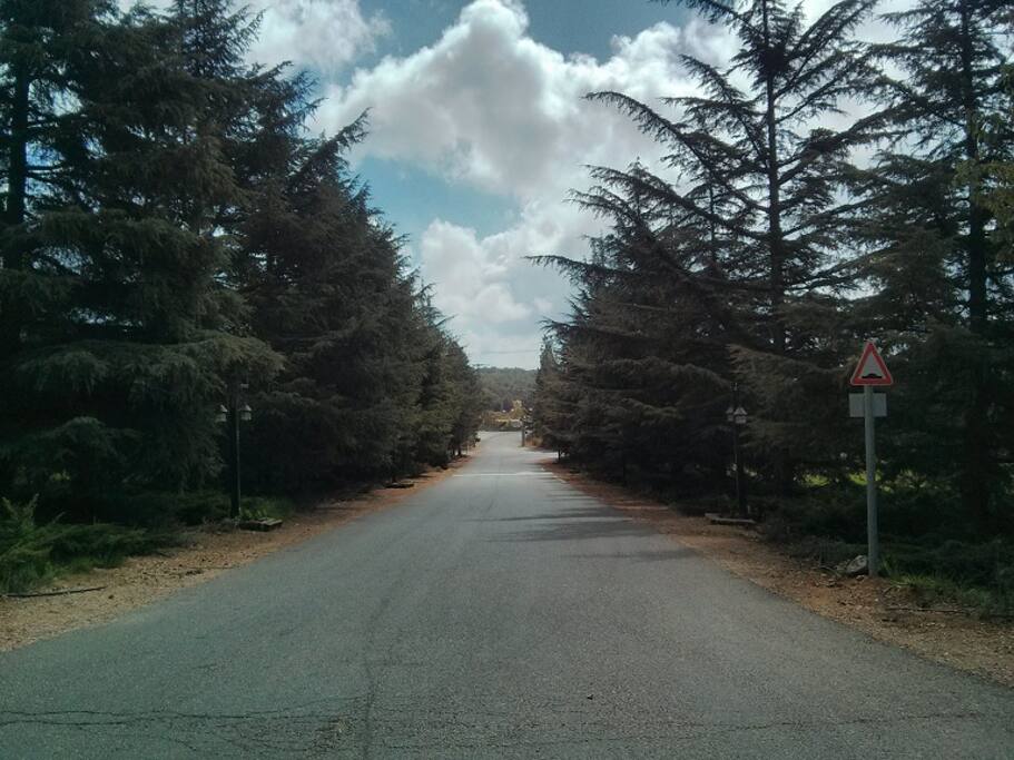 Odem's streets