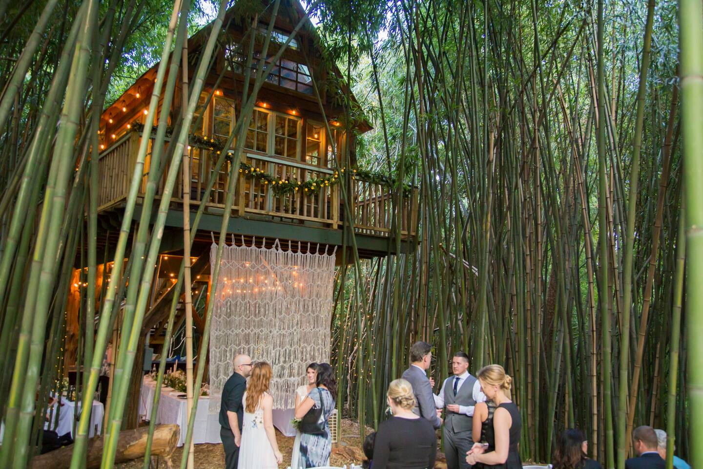 Atlanta Alpaca Treehouse In The Bamboo Forest Baumhauser Zur