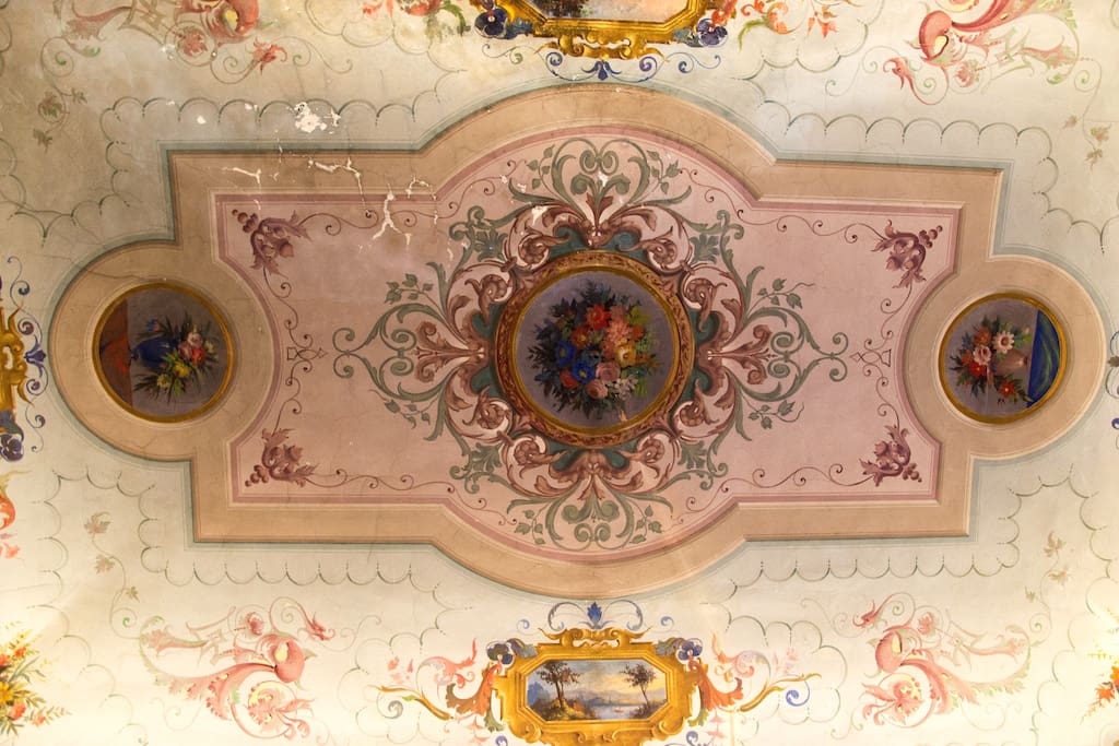 Frescoed ceiling master bedroom