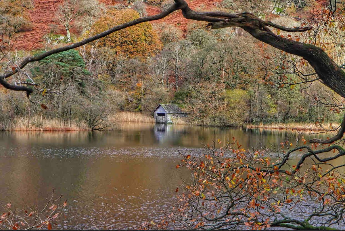 A tranquil lake scene is framed by branches of autumn trees. A small, wooden boathouse stands at the water's edge, surrounded by grassy banks and colorful foliage reflecting softly on the water's surface.