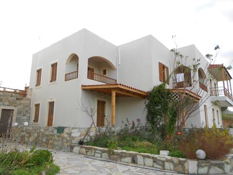 IRIDIS