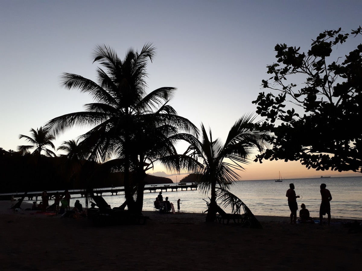 Silhouettes of palm trees are visible against a twilight sky, framing the tranquil beach. Groups of people can be seen enjoying the shoreline, with a pier extending into the calm water. The warm hues of sunset are reflected on the horizon.