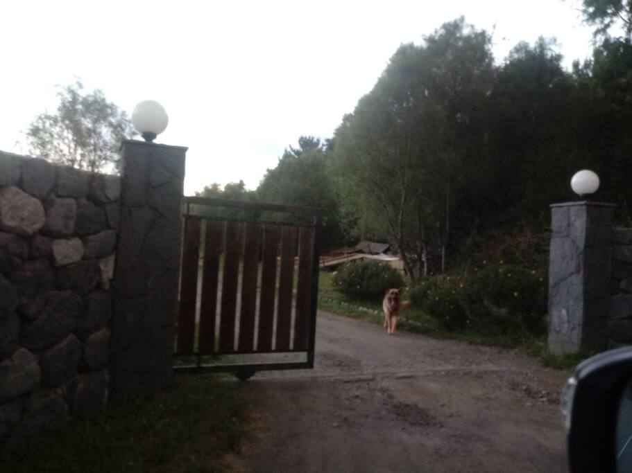 Acceso a Cabañas los Maitenes