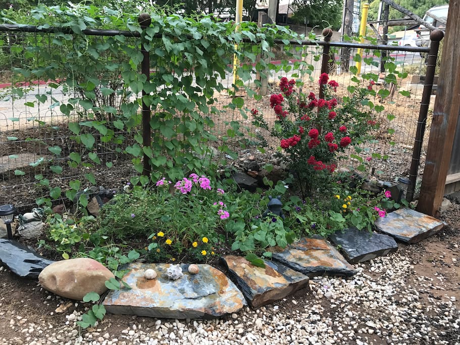 Front yard