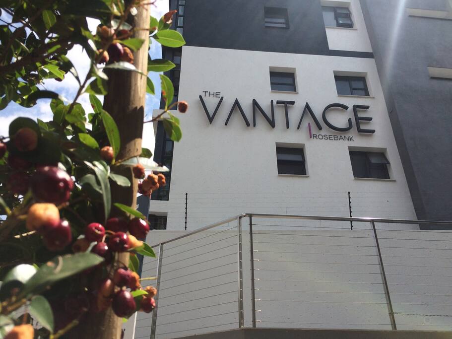 The place