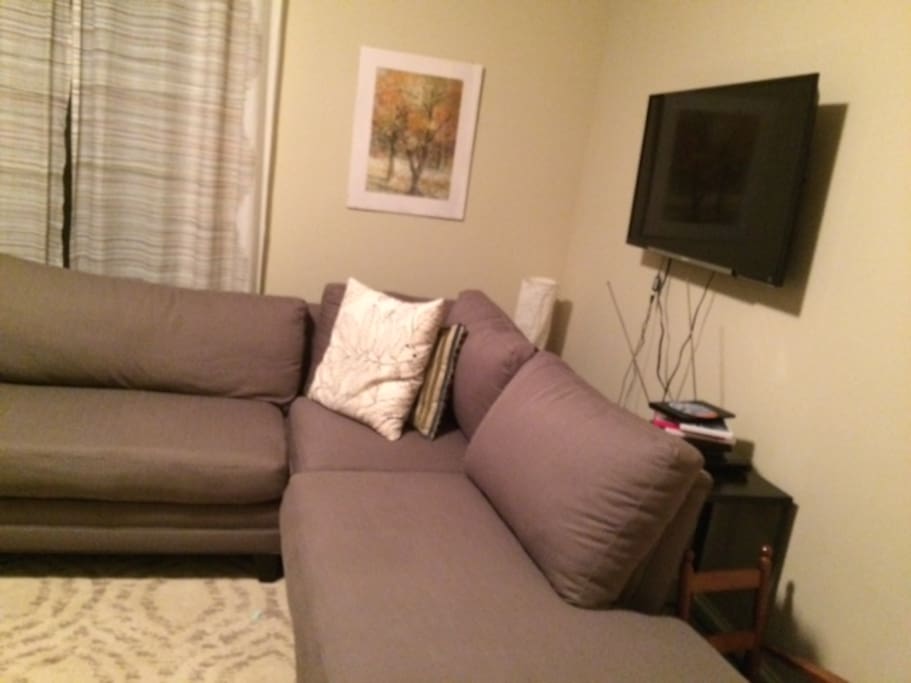 Comfortable living room.