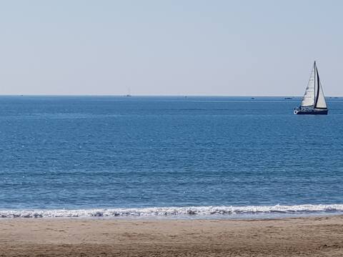 Vacation in the sea!