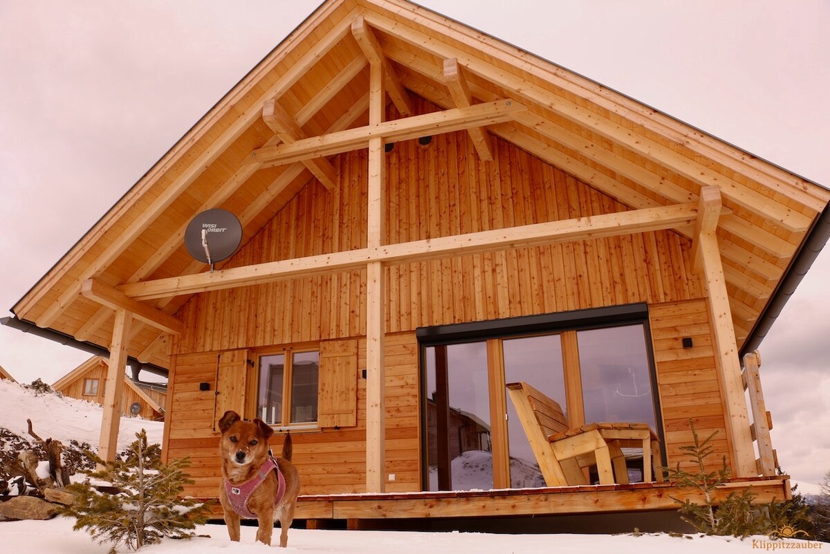 The exterior of the chalet features a wooden structure with a gabled roof, supported by exposed beams. Large glass doors lead to a welcoming interior space. A dog stands in the snow, indicating a pet-friendly environment. Snow patches are visible around the building.