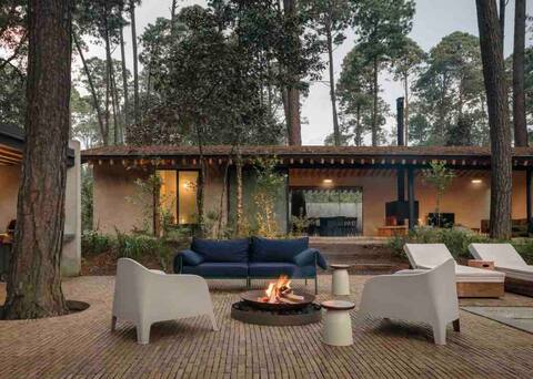 Modern luxury in the middle of the forest -Casa Mola-