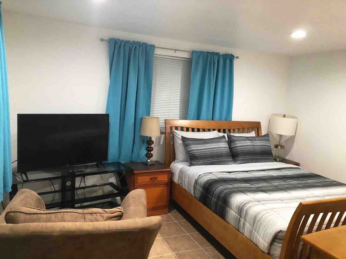 The bedroom features a spacious bed with striped bedding, complemented by two bedside lamps. A television is positioned on a glass stand, with a comfortable armchair nearby. Bright blue curtains add a pop of color beside a window offering natural light.