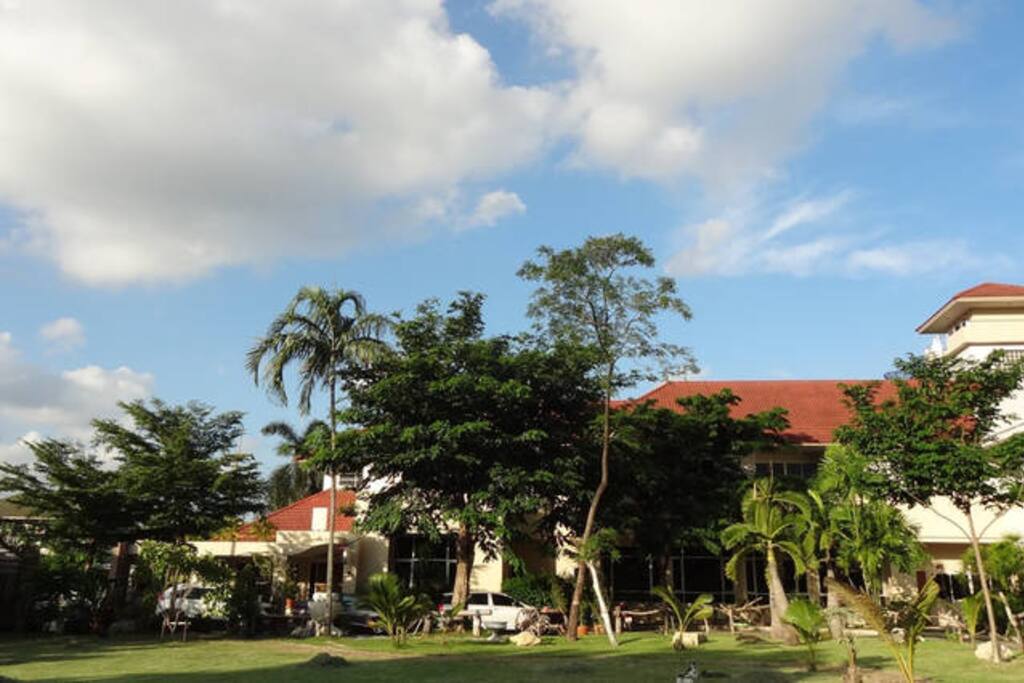 OUR BUILDING FACADE WITH THE LANDSCAPE