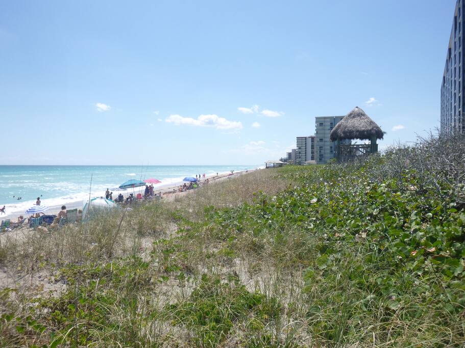Beach and private Tiki hut. Watch the sun rise from the Tiki hut.