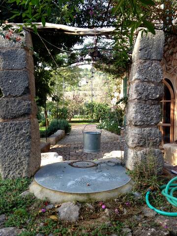 Can Busquera gallery image 5