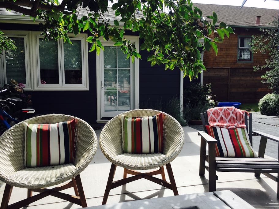 The sunniest back yard in Rockridge