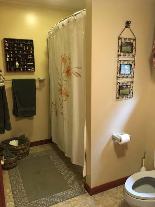Clean bathroom with everything needed!
