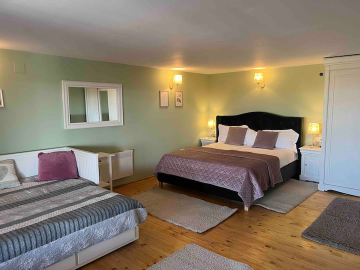 Updated junior suite downstairs. Two queensize beds/ full bathroom/ direct access to the sauna room.