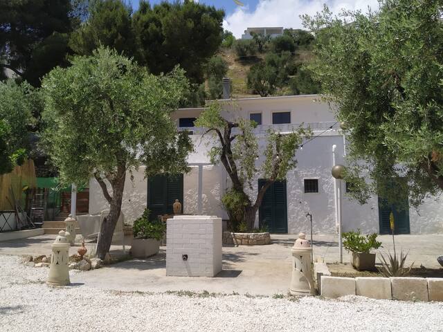 “PETRA BIANCA” a charming house in Gargano Park