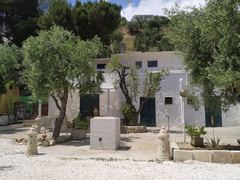 "PETRA BIANCA" a charming house in Gargano Park