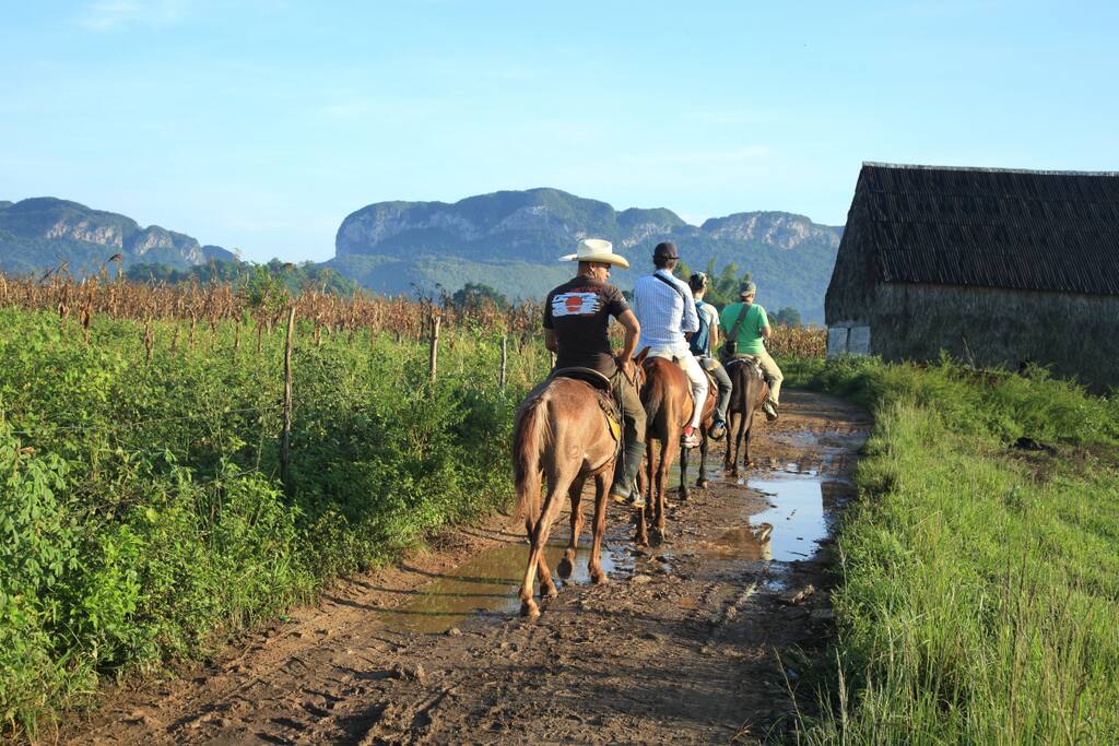 paseos a caballo