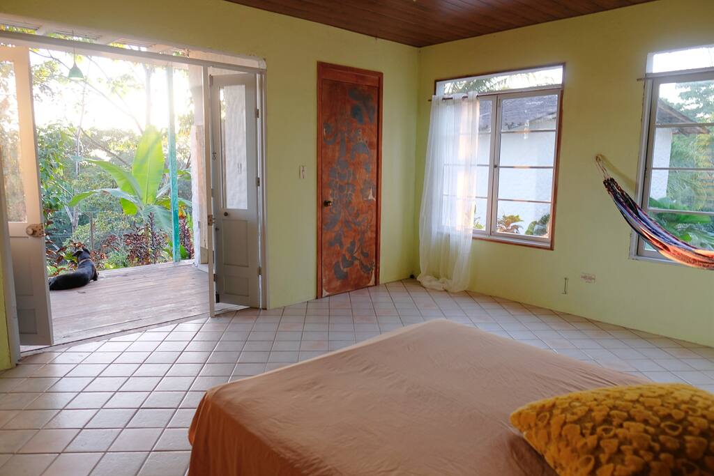 Spacious and airy room